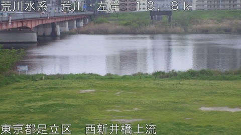 arani2026041606_image