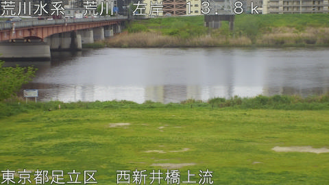 arani2026041607_image