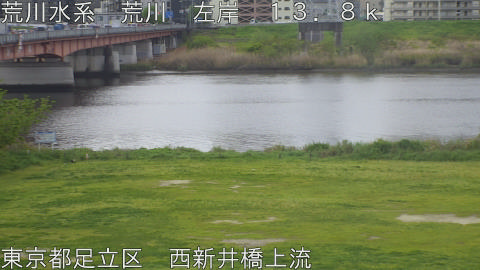 arani2026041608_image