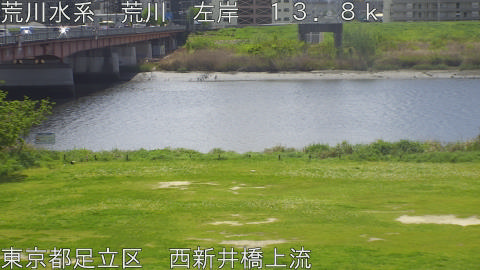 arani2026041611_image