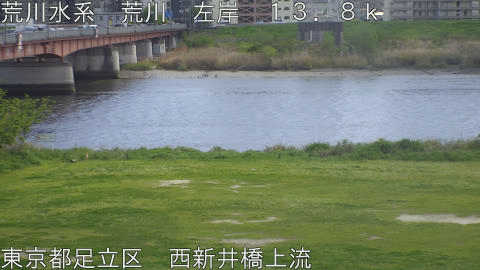 arani2026041613_image