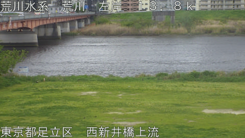 arani2026041614_image