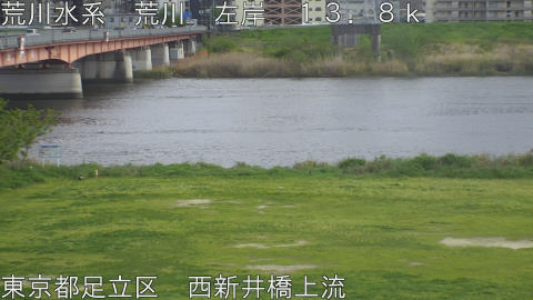 arani2026041615_image