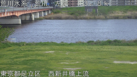 arani2026041616_image