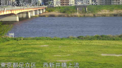 arani2026041617_image