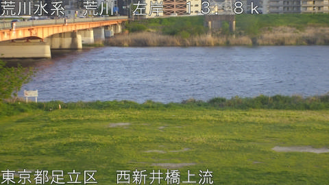 arani2026041618_image