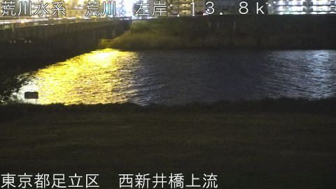 arani2026041620_image