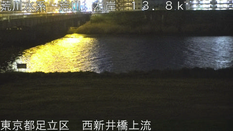 arani2026041622_image