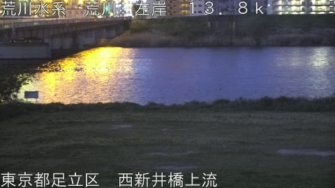 arani2026041705_image