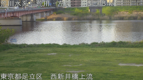 arani2026041706_image