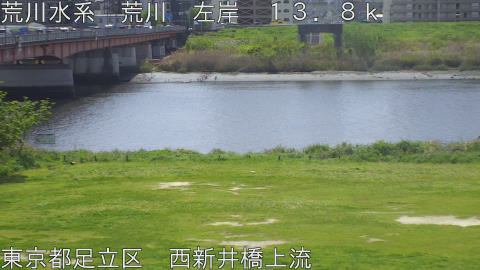 arani2026041711_image