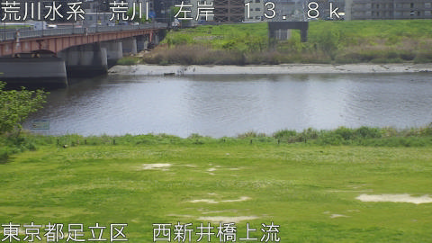 arani2026041712_image