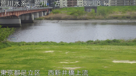 arani2026041713_image