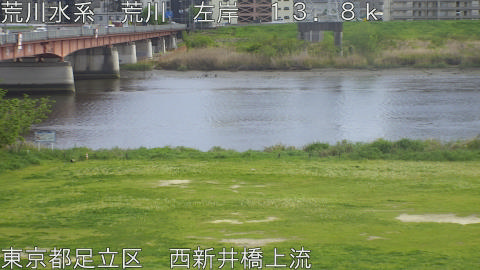 arani2026041714_image