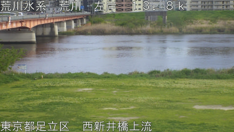 arani2026041716_image