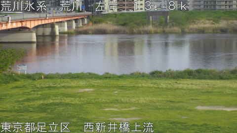 arani2026041717_image