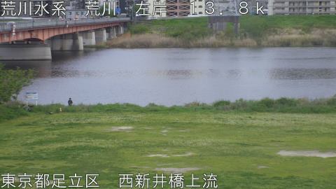 arani2026041718_image