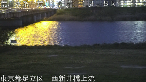 arani2026041719_image