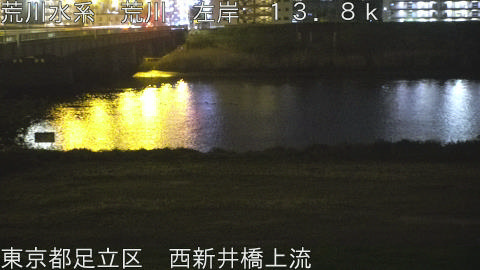 arani2026041723_image