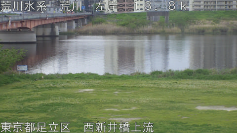 arani2026041807_image