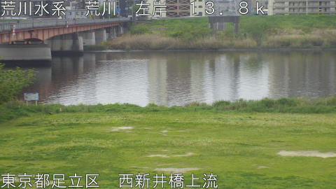 arani2026041809_image