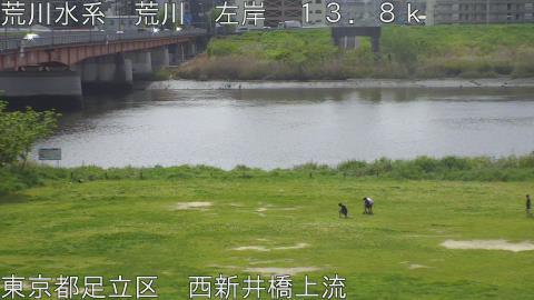 arani2026041811_image