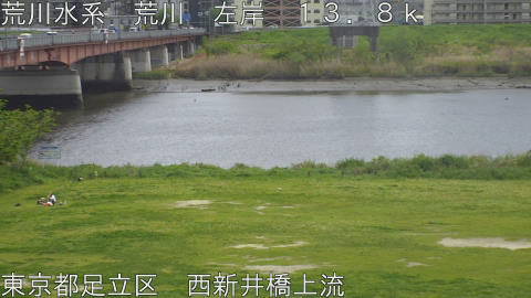 arani2026041813_image