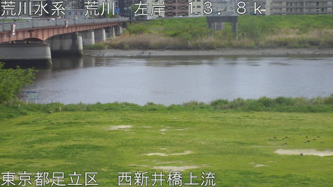 arani2026041814_image