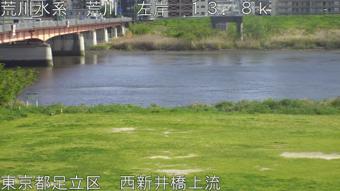 arani2026041815_image