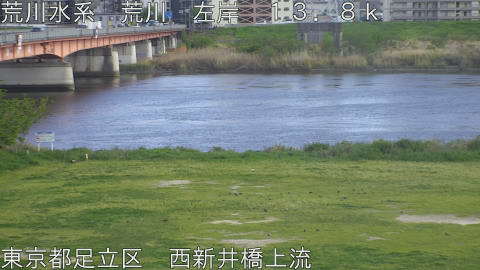 arani2026041816_image