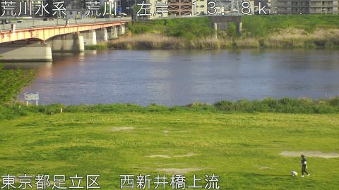 arani2026041817_image