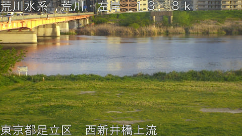 arani2026041818_image