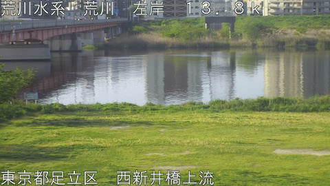 arani2026041907_image