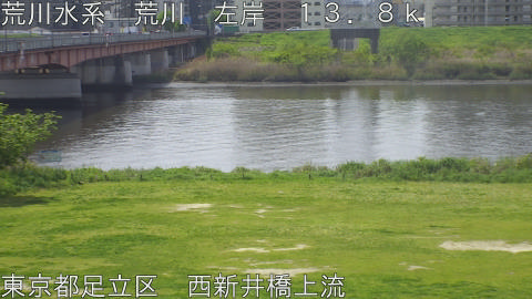 arani2026041910_image