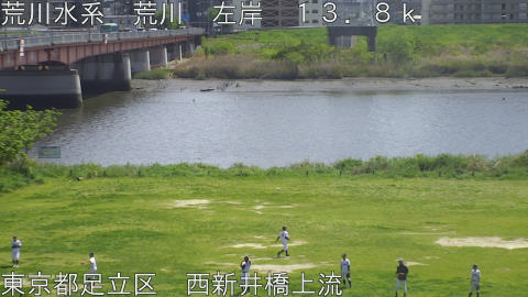 arani2026041913_image