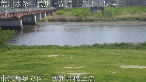 arani2026041914_image