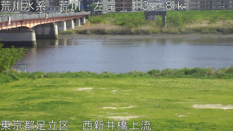 arani2026041915_image