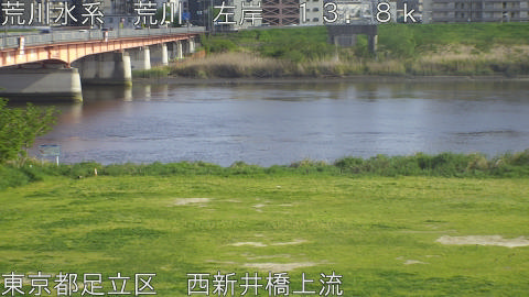 arani2026041916_image