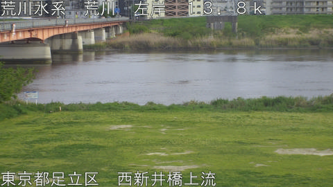 arani2026041917_image