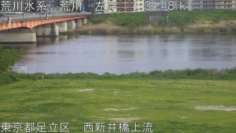 arani2026041918_image