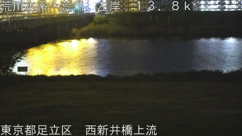 arani2026041922_image