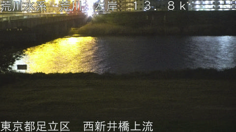 arani2026041923_image