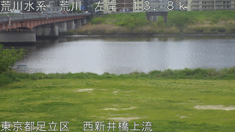 arani2026042010_image