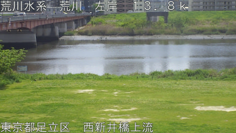 arani2026042012_image