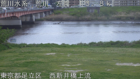 arani2026042013_image