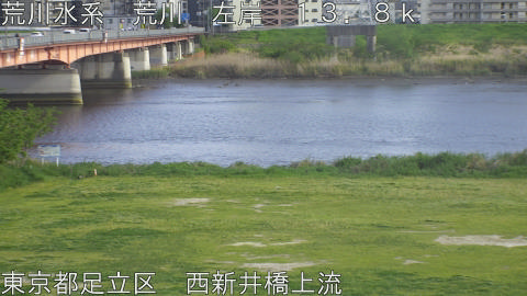 arani2026042016_image