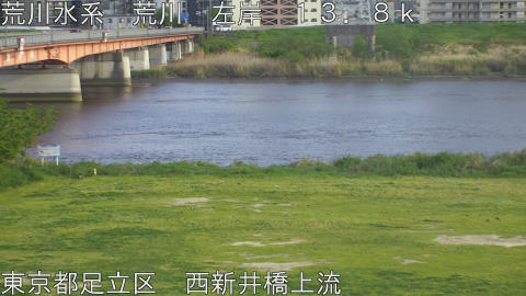 arani2026042017_image