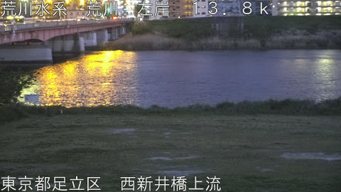 arani2026042019_image