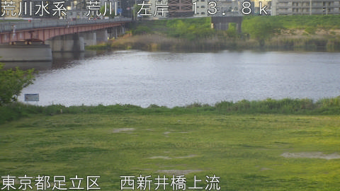 arani2026042106_image