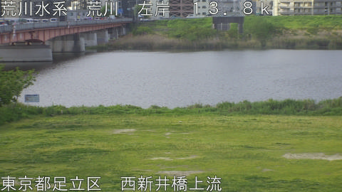 arani2026042107_image